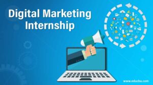 digital marketing internship for freshers,